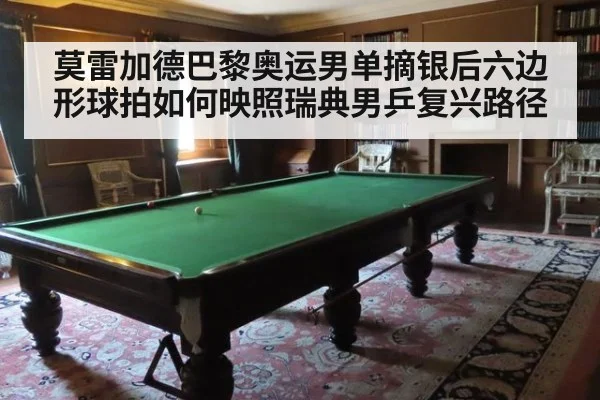 莫雷加德巴黎奥运男单摘银后六边形球拍如何映照瑞典男乒复兴路径